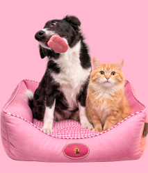 Conjunto 3 Camas Quadrada Luxo Suede Pet - Cachorro e Gato