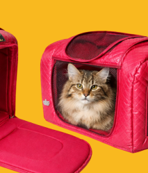Bolsa De Transporte Courino Pet Grande - Cachorro e Gato