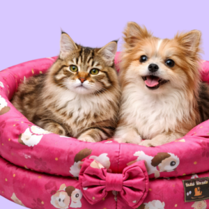 Conjunto 4 Camas Pet Europa Suede Luxo - Cachorro e Gato